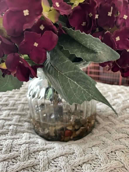 Photo of free XL Hydrangers in vase (Hemel Hempstead) #2