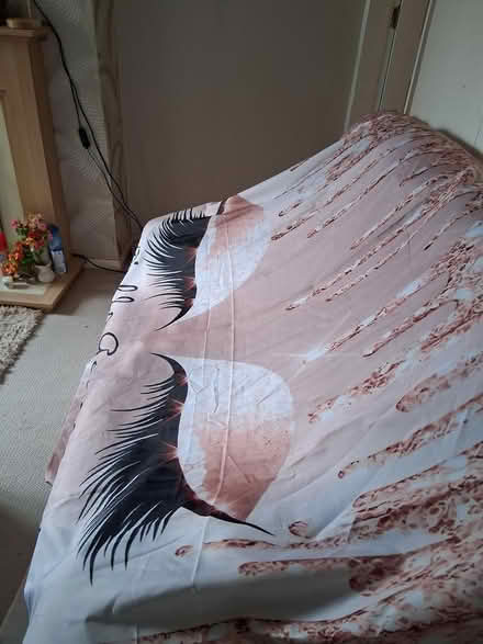 Photo of free Shower curtain and bath mat x3 (mansfield woodhouse NG19) #1