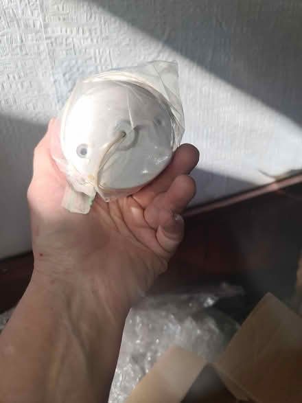 Photo of free Bulb holder and pull-cord switch (Dalston E8) #3