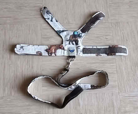 Photo of free Cat Kitten Lead Leash (Thamesmead SE28) #1