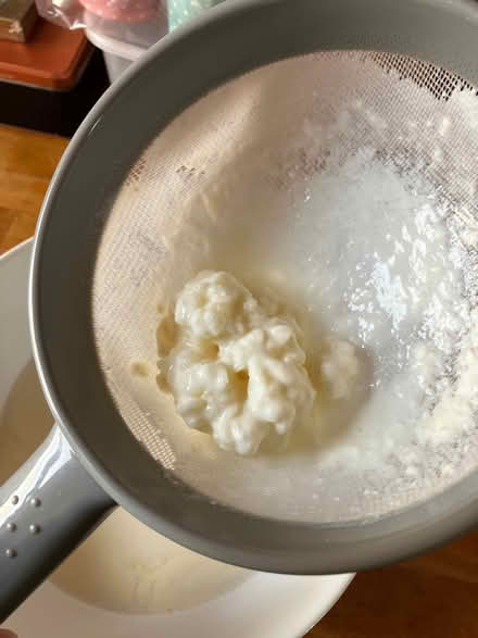 Photo of free Keffir grains (for milk) (Craigleith EH4) #1