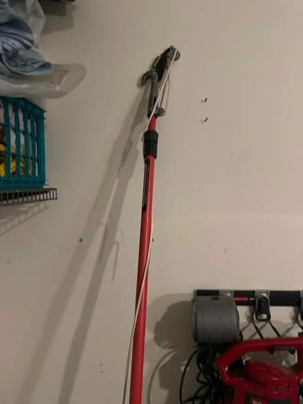 Photo of free Poll Trimmer (Maple Lawn) #1