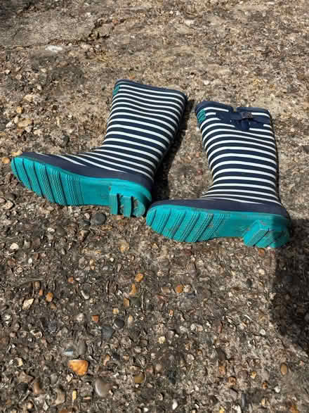 Photo of free Wellington boots (Croydon) #2