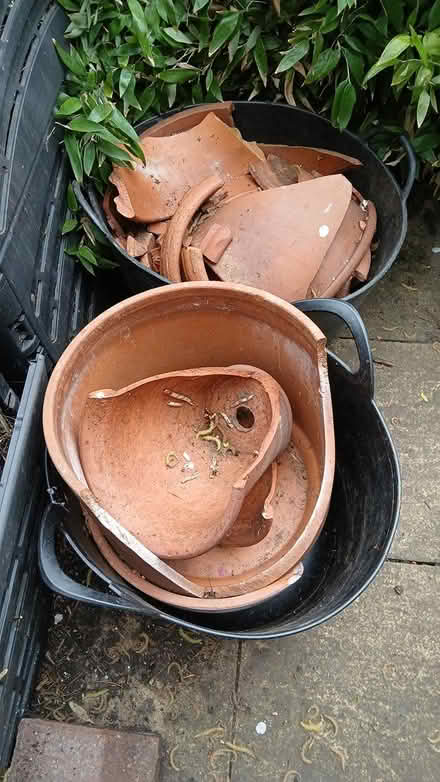 Photo of free Terracotta crocks (Hither Green) #1