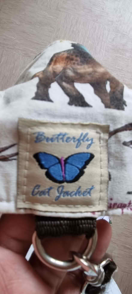 Photo of free Cat Kitten Lead Leash (Thamesmead SE28) #2