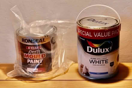 Photo of free White Paint (Deptford SE8) #1