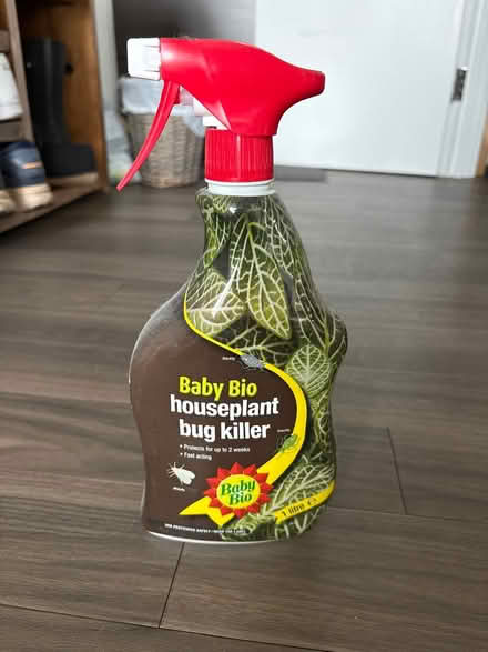 Photo of free Houseplant bug killer (South Acton W3) #1