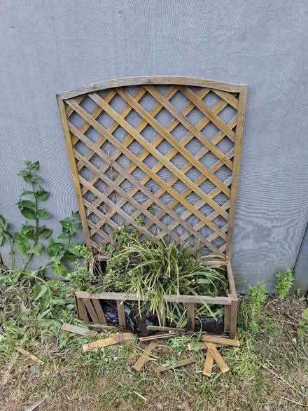 Photo of free Trellis and plants (Hanworth TW13) #1