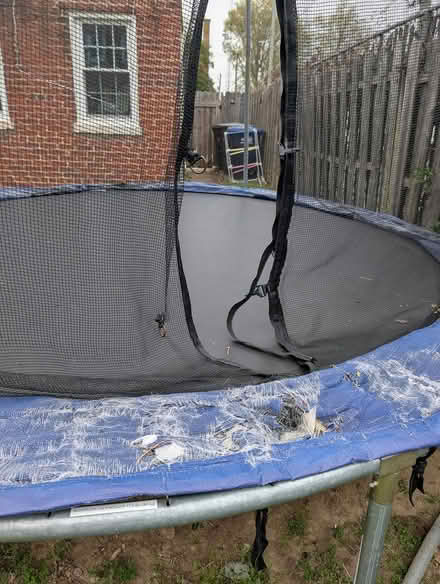 Photo of free 10 ft trampoline (Petworth/Brightwood) #3