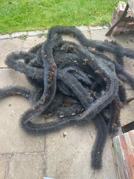 Photo of free Hedgehog for gutters (Godalming) #1