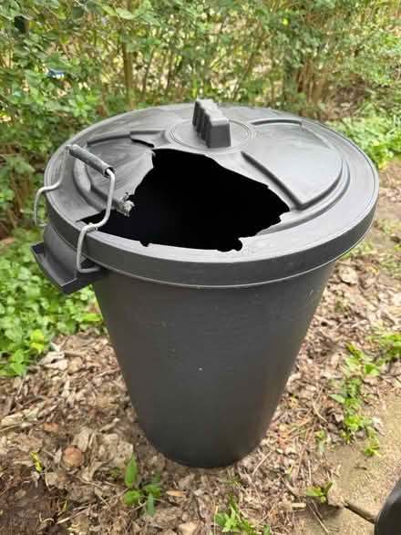 Photo of free 90L Wickes Black Dustbin (Anerley SE20) #1