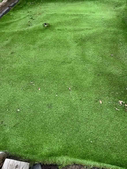 Photo of free Astro turf (Bulwell NG6) #1