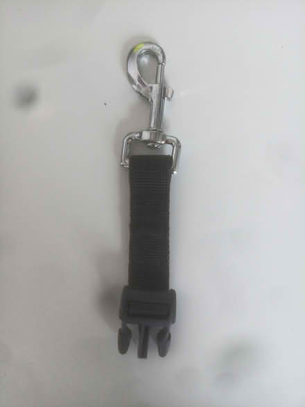 Photo of free 1" swivel clip (TN34 Halton (West Hill - Ore)) #1