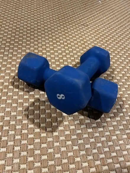 Photo of free Handheld weights (Silver Spring, MD) #1