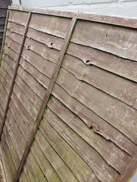 Photo of free Fence panels (Cherry Willingham) #2