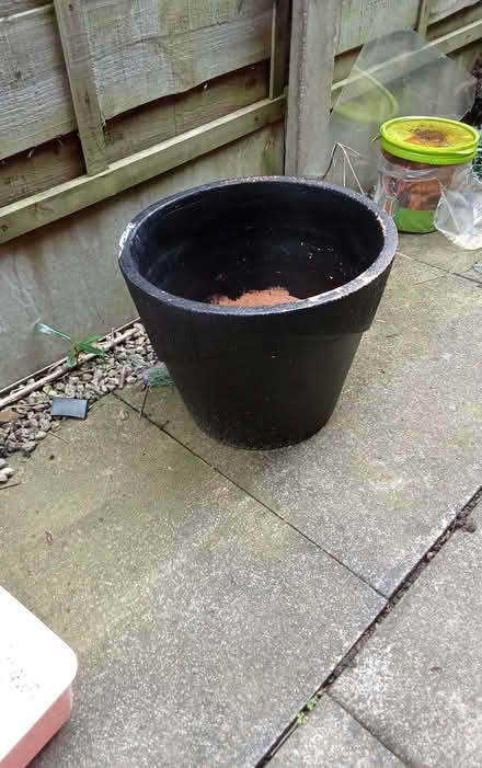 Photo of free Large terracotta pot (Fearnhead WA2) #1