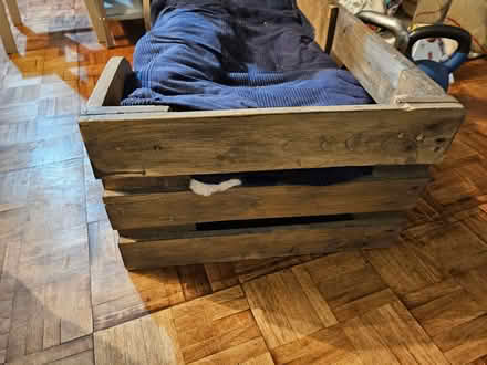 Photo of free home made dog bed (Mortimers Cross HR6) #2