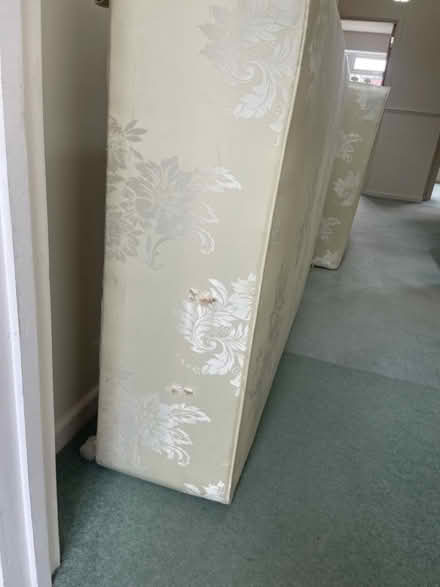 Photo of free Divan floral mattress (AL2 park street) #2