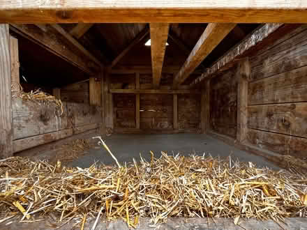 Photo of free Chicken Coop an Run (CM6 Dunmow) #2