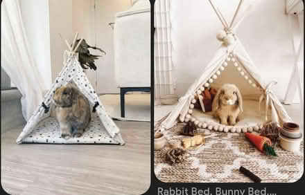 Photo of Pet teepee (Chessington KT9) #1