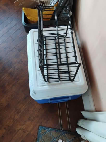 Photo of free Basket for back of bike (Leigh on Sea) #1