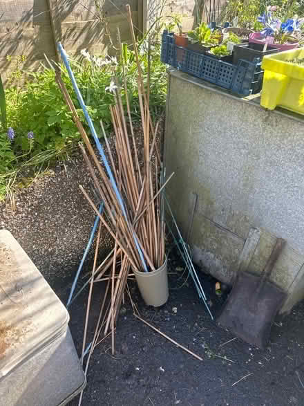 Photo of free Garden Canes (Heysham LA3) #1