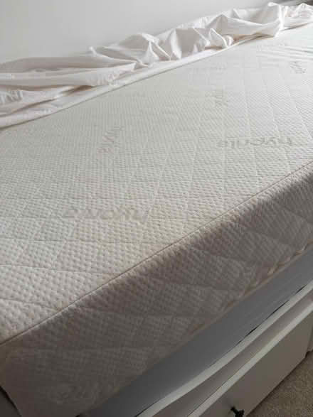 Photo of free 2x single matresses (Kingswood BS15) #4