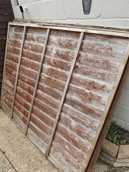 Photo of free Fence panels (Cherry Willingham) #3
