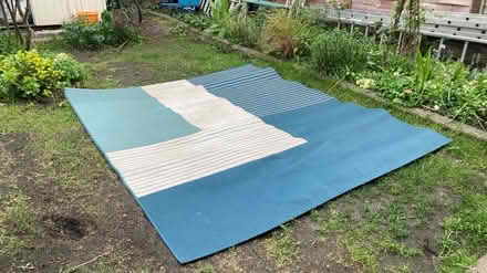 Photo of free Large rug / mat (Westbury BA13) #1