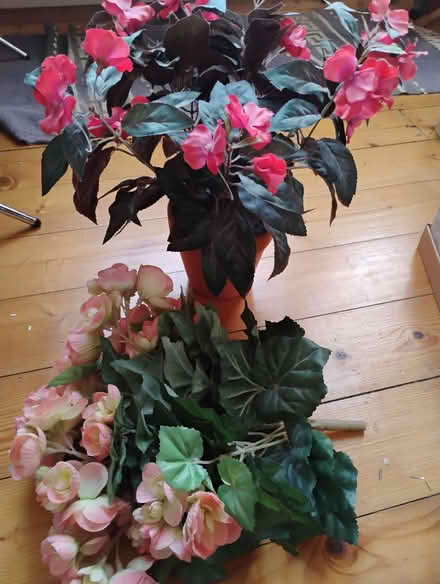 Photo of free Artificial flowers (Seafield EH7) #2