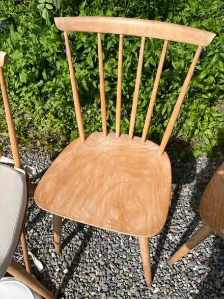 Photo of free 1960s ‘Habitat’ dining chairs (Shankill, D18) #3