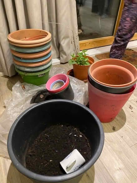 Photo of free Large plant pots (W3, Acton) #1