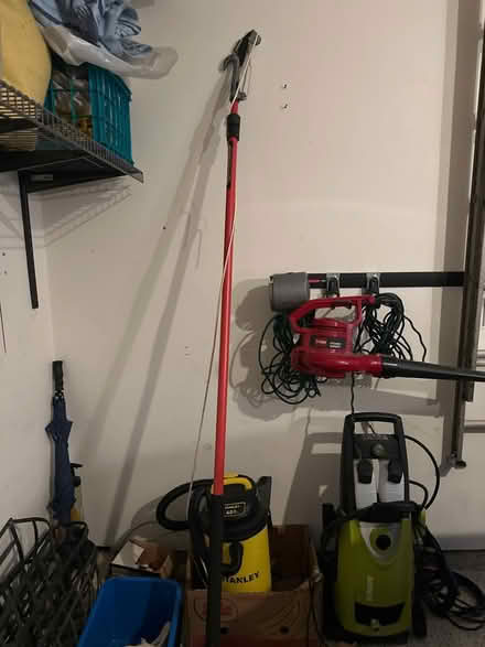 Photo of free Poll Trimmer (Maple Lawn) #2