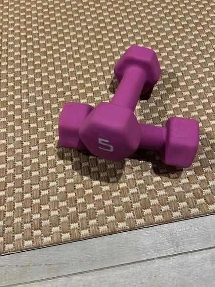Photo of free Handheld weights (Silver Spring, MD) #3