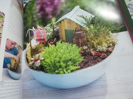 Photo of free Chrildrens Garden Craft Book (Dublin 12) #2
