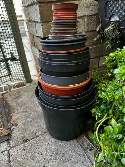 Photo of free Pot (Acton W3 8) #1