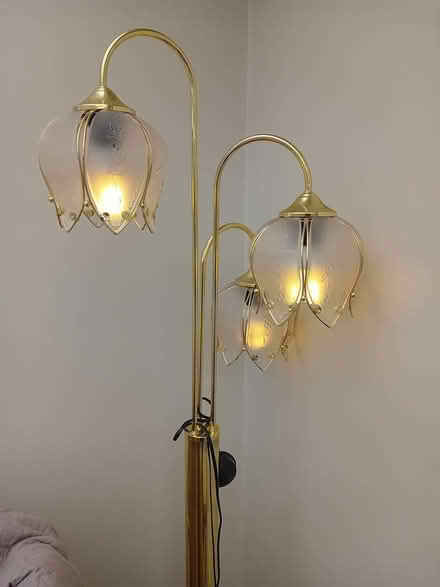 Photo of free Standard lamp (CW1 Crewe) #3