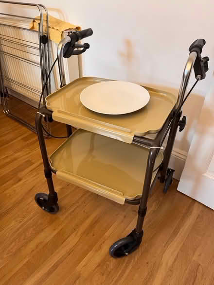 Photo of free Trolley for elderly (N22 near Durnsford Road) #1