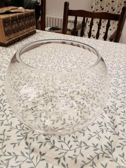 Photo of free Glass bowl - terrarium/ vase/ fish (Catford) #1