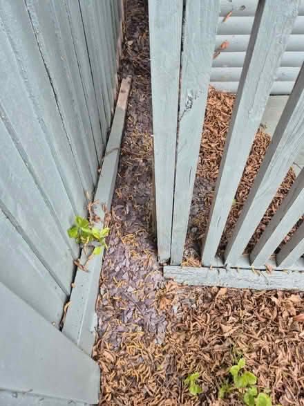 Photo of free Stone chippings (Hornchurch RM12) #1