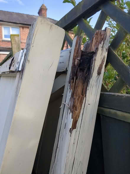 Photo of free Large Wooden Driveway & Side Gates + Posts and Hardware (Chapel Allerton LS7) #3