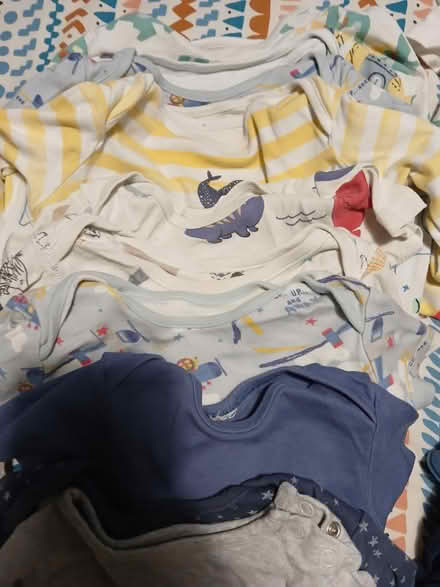 Photo of free Baby bodysuits (Blackbird Leys OX4) #4
