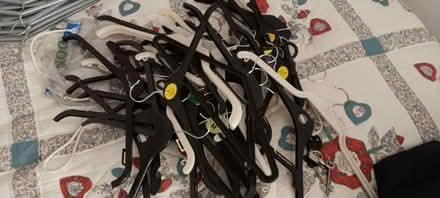 Photo of free Plastic Hangers (apprx 70) (Dalkey) #1