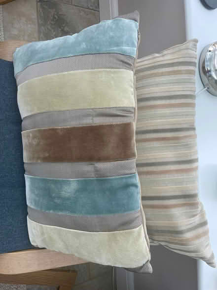 Photo of free Scatter cushions (Broomfield CM1) #1