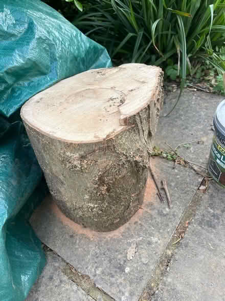 Photo of Logs (Charlton OX12) #1