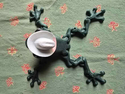 Photo of free Cowboy Frog Figure (West 7th) #2
