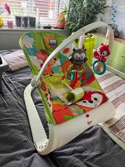 Photo of free Baby bouncer (Warrington WA4) #2