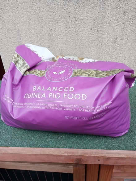 Photo of free Guinea Pig Food (Quernmore LA2) #2