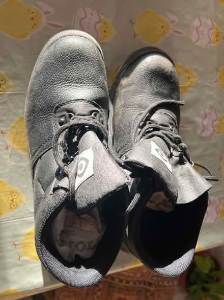 Photo of free Working shoes size 43 (Beaumont LA1) #1