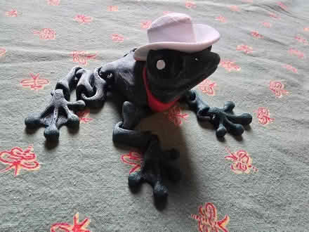 Photo of free Cowboy Frog Figure (West 7th) #1